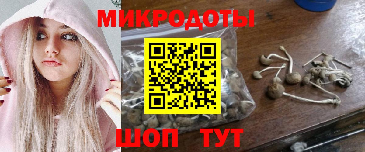 Псилоцибиновые грибы MAGIC MUSHROOMS  Вход с VPN  Выкса  Псилоцибиновые грибы Magic Shrooms 