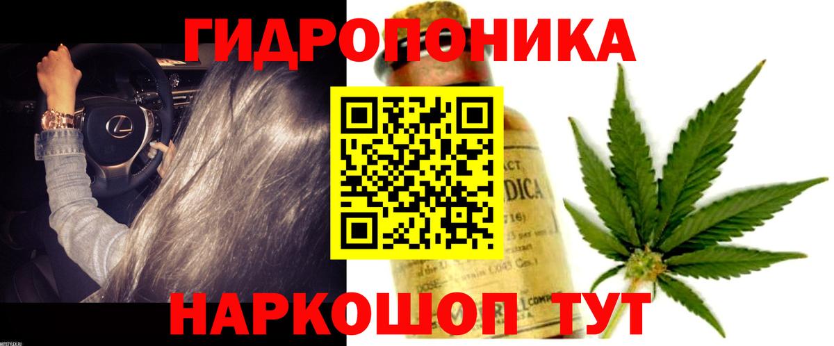 Выкса  Каннабис планчик  Бошки Шишки конопля  МАРИХУАНА семена  Шишки марихуана LSD WEED  Вход с VPN 